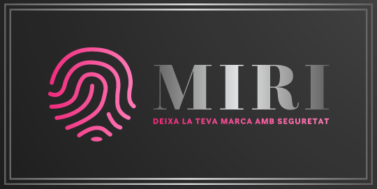 Procediment per constituir l’empresa